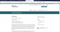 Abbildung der Internetseite