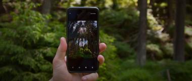 Smartphone im Wald